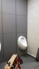 New toilets in Old Bawn Community School, Tallaght - refurbishment by Tilbury Construction, Dublin, Ireland